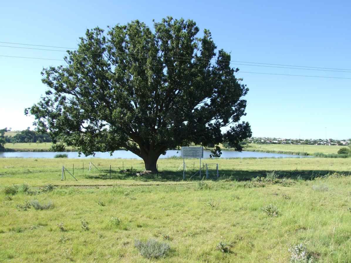 3. Overview on cemetery