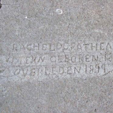 STEYN Rachel Dorathea 18?8-1899