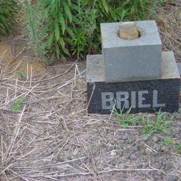 BRIEL M.J. -1974