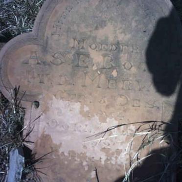 BOTHA A.S.E. nee VAN DER MERWE 1834-1927