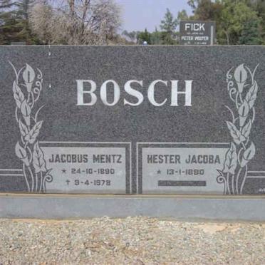 BOSCH Jacobus Mentz 1890-1978 &amp; Hester Jacoba 1890-