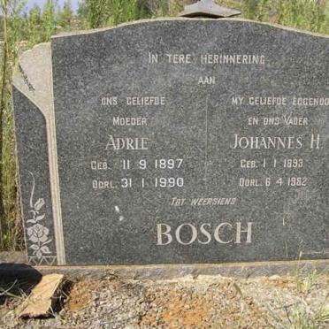 BOSCH Johannes H. 1893-1962 &amp; Adrie 1897-1990