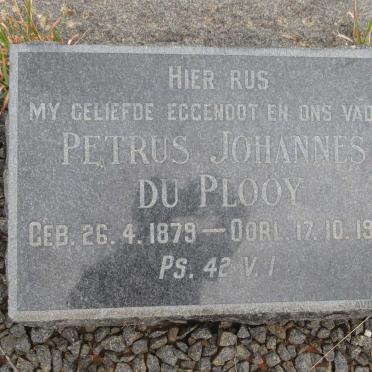 PLOOY Petrus Johannes, du 1879-1955