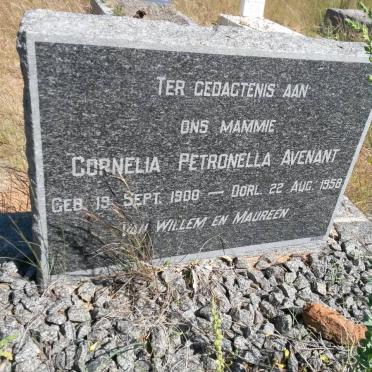 AVENANT Cornelia Petronella 1900-1958