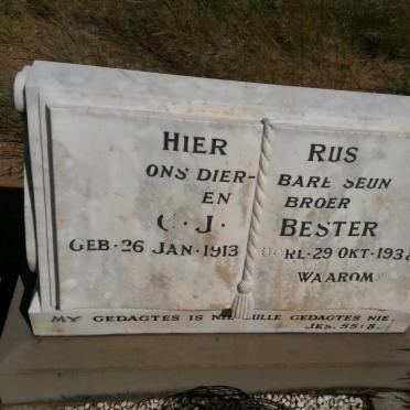 BESTER C.J. 1913-1938