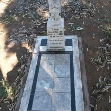 MERWE Dawie, v.d. 1920-1927