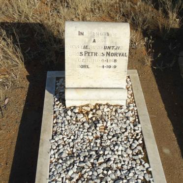 NORVAL Floris Petrus 1918-1919