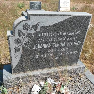 VILJOEN Johanna Gedina nee V.D. WALT 1890-1970
