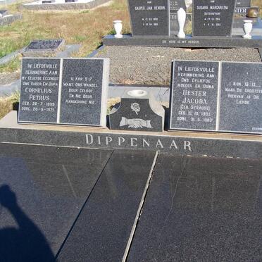 DIPPENAAR Cornelius Petrus 1895-1971 &amp; Hester Jacoba STRAUSS 1903-1983