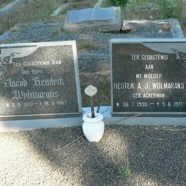 WOLMARANS Jacob Hendrik 1903-1987 &amp; Hester A.J. ACKERMAN 1908-1977