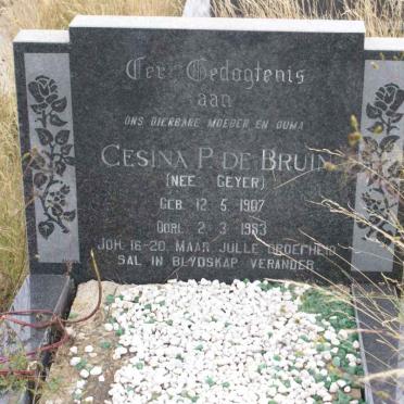 BRUIN Gesina P., de nee GEYER 1907-1986