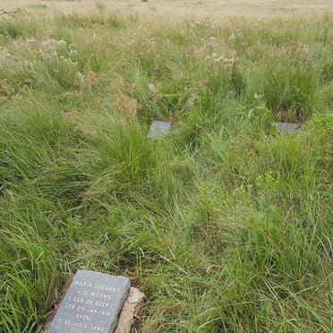 2. Overview / Oorsig