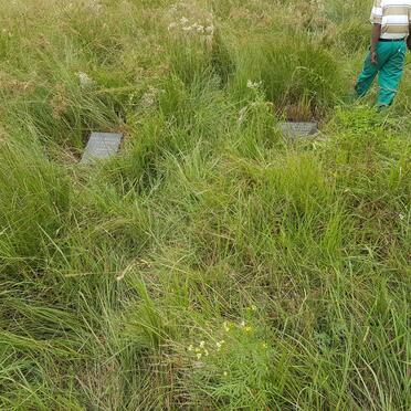 3. Overview / Oorsig