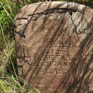 BESTER Magrieta 1861-19??