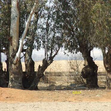 Free State, SASOLBURG district, Die Wilges 1514, Die Wilgers, farm cemetery