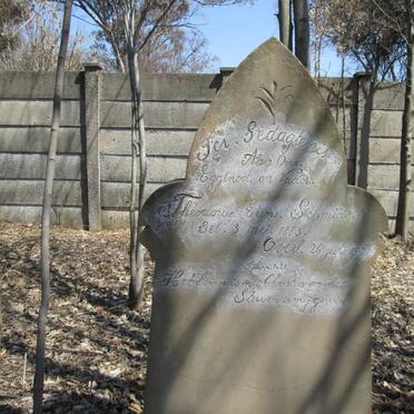 SCHMIDT Theodorus Erens 1883-1921