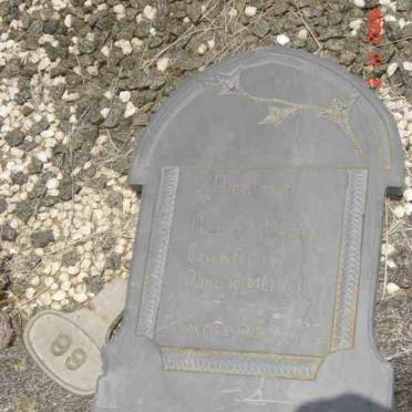 MAREE Beltus 1915-1915