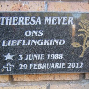 MEYER Theresa 1988-2012