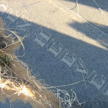 HEEVER Pieter P.C.J., van den 1927-1993