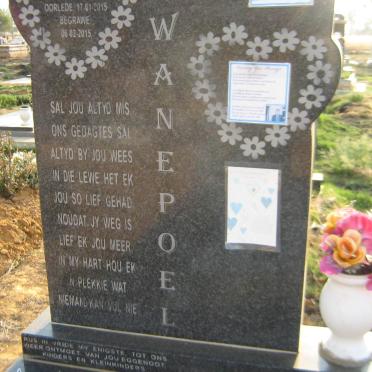 SWANEPOEL Andreas Jacobus Kleynhans 1953-2015