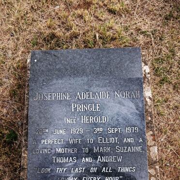 PRINGLE Josephine Adelaide Norah nee HEROLD 1929-1979
