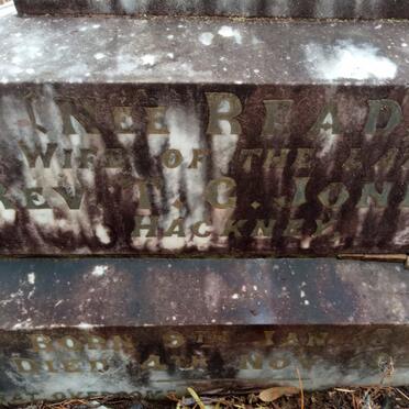 JONES Anna Louisa nee READ 1852-1925