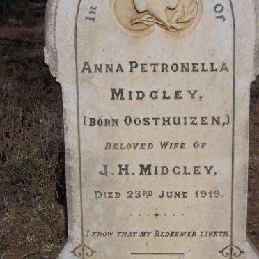 MIDGLEY Anna Petronella nee OOSTHUIZEN -1919