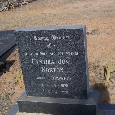 NORTON Cynthia June nee FORWARD 1920-1986