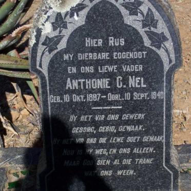 NEL Anthonie C. 1867-1940
