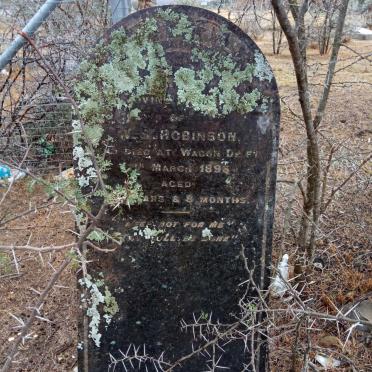 ROBINSON W.S. -1896