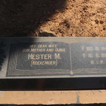 VICE Colin D. 1923- &amp; Hester M. KOEKEMOER 1942-1993