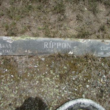 RIPPON Allan :: RIPPON Clifton