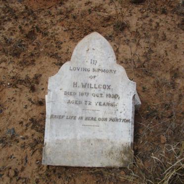 WILLCOX H. -1910