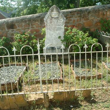 1. HEWSON family plot