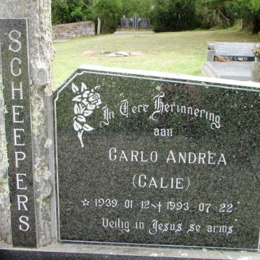 SCHEEPERS Carlo Andrea 1939-1993