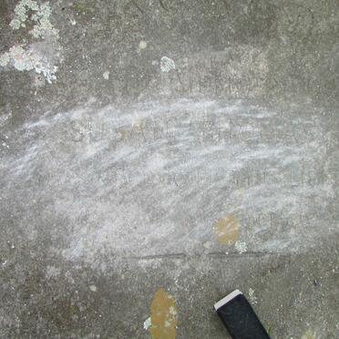 THOMAS Susan :: THOMAS