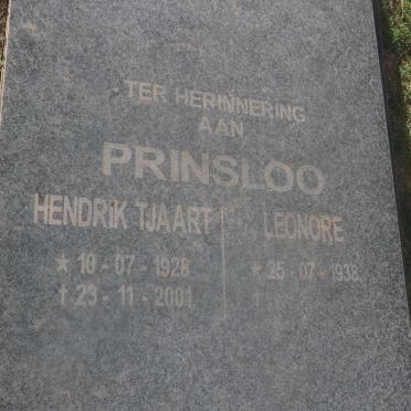 Eastern Cape, ALBERT district, Leeuwfontyn 18_2, Spring valley, farm cemetery