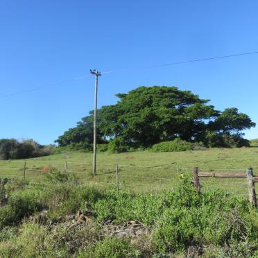 1. Overview