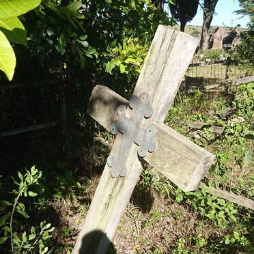 HARWOOD Albert George -1892 :: GEOGHEGAN Thomas -1892 :: 12 Shipmates -1892