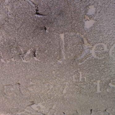 DEDNAM Mary nee GEORGE -1848