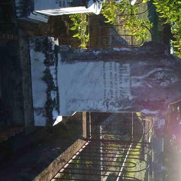 FICK Hendrick 1870-1908