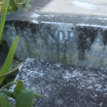 REED Bertram Owen -1946 &amp; Eleanor Adeline