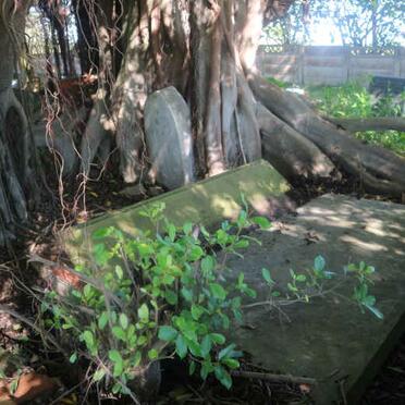 SCHEEPERS Carolina Susanna