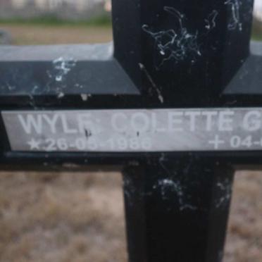 GOUWS Colette 1986-2016