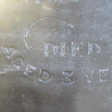 DEVELING Annie Gertrude -1869 :: DEVELING Andre N. -1869