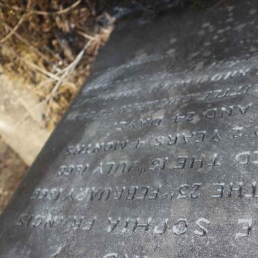 FRANCES David Walter :: FRANCES Annie Sophia 1866-1868