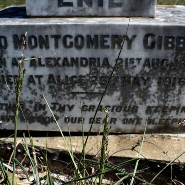 GIBBON Enid Montgomery 1892-1916