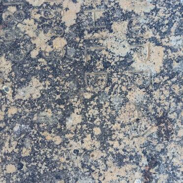 POPE Cecilia Louisa 1864-1883 :: POPE Frank Ernest Murray 1883-18??