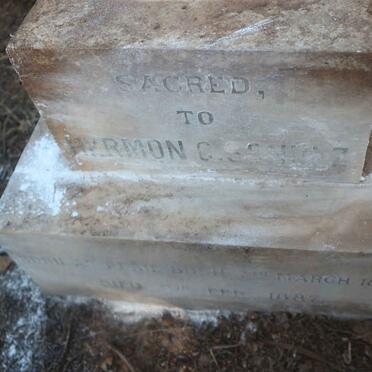 SCHULZ Hermon C. 1860-1887