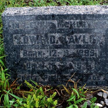 TAYLOR Edward 1899-1959